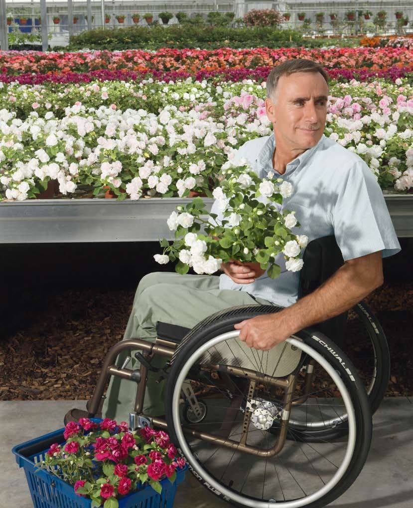 Cadeiras de Rodas Manuais