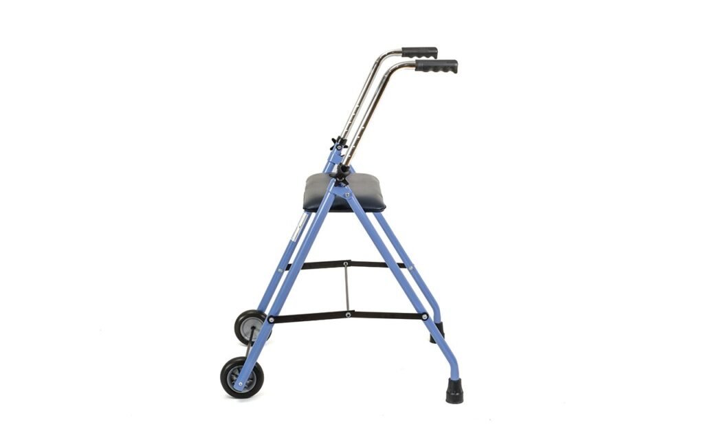 Andarilho de 2 Rodas MoveMax Start